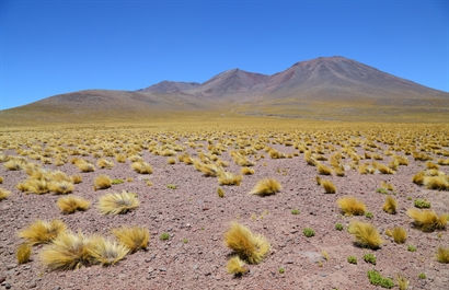 Turismo en America Latina - Puno